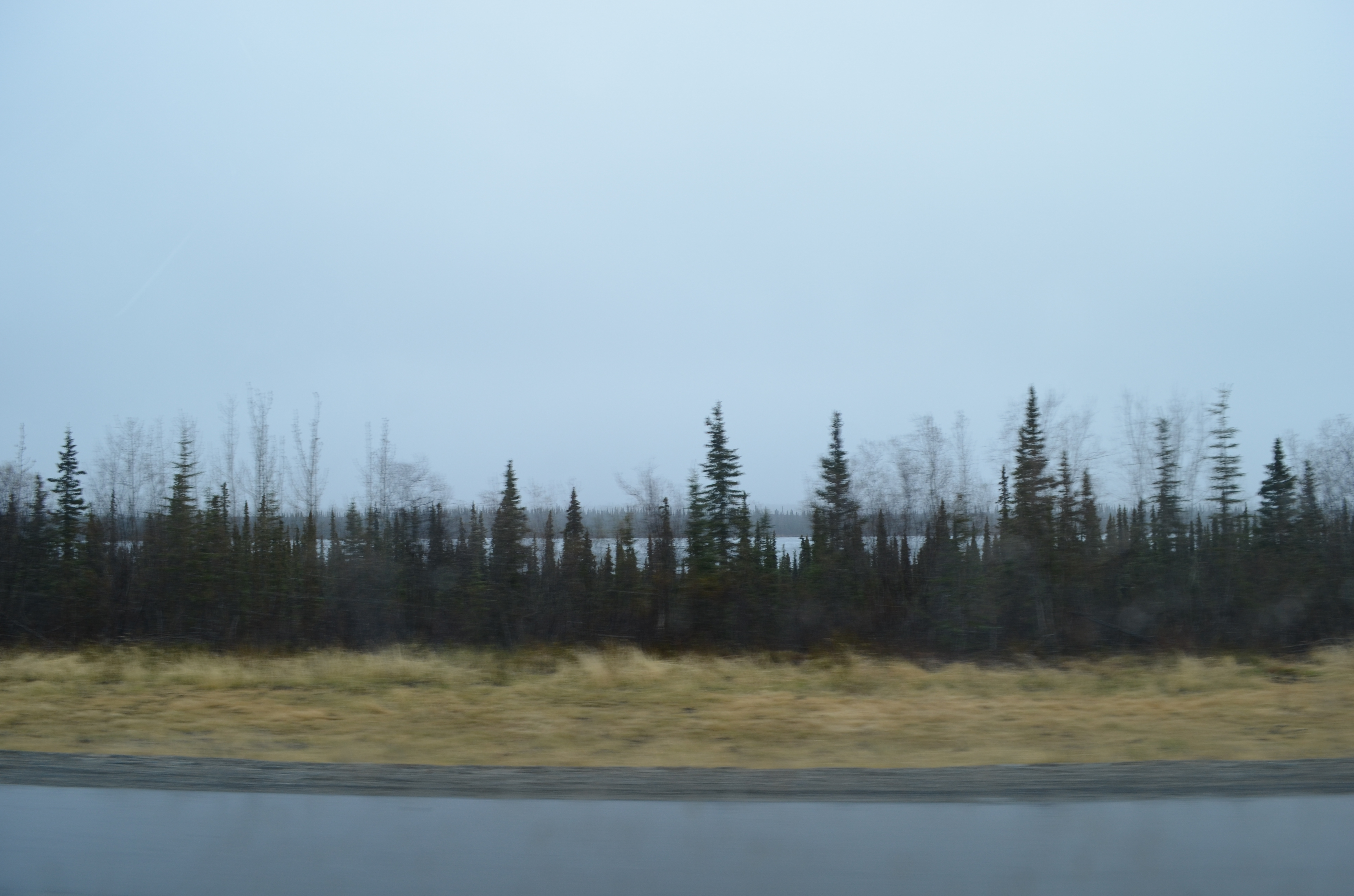 ./2017/08 - Alaska Cruise/03 - Denali/DSC_0094.JPG